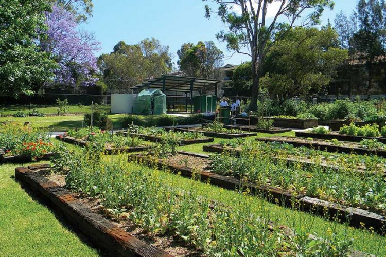 Wenthworthville Community Garden Open Day